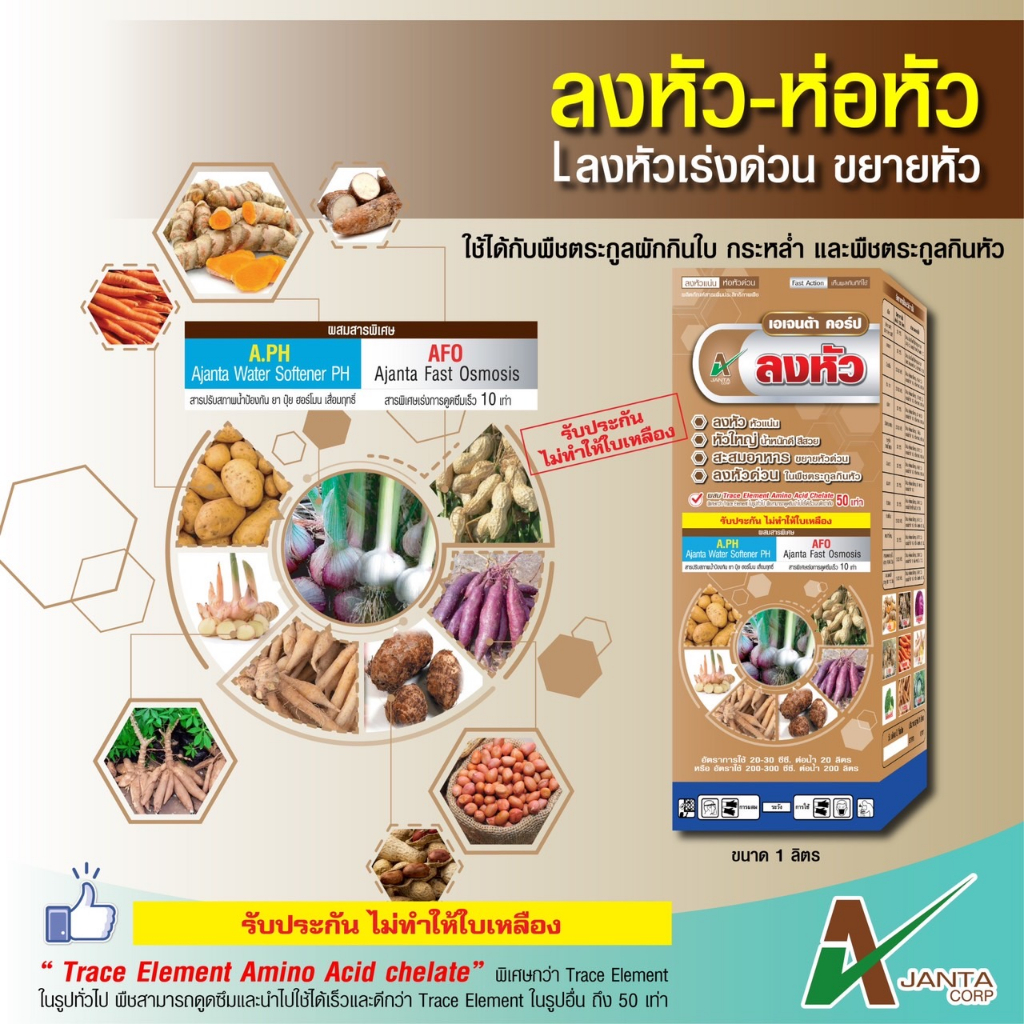 ลงหัว ห่อหัว เอเจนต้า เร่งหัวใหญ่ หัวแน่น น้ำหนักดี สีสวย สำหรับมันสำปะหลังและพืชลงหัว (ขนาด 250 ซีซี)
