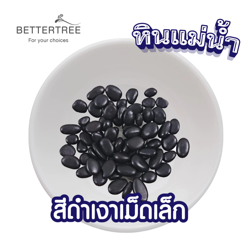 หินดำกลมเม็ดเล็ก 250 กรัม หินกระบองเพชร หิน หินสี