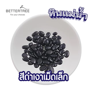หินดำกลมเม็ดเล็ก 250 กรัม หินกระบองเพชร หิน หินสี