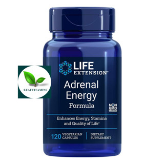 Life Extension Adrenal Energy Formula / 120 Vegetarian Capsules