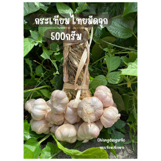 กระเทียมไทยมัดจุก 500 กรัม