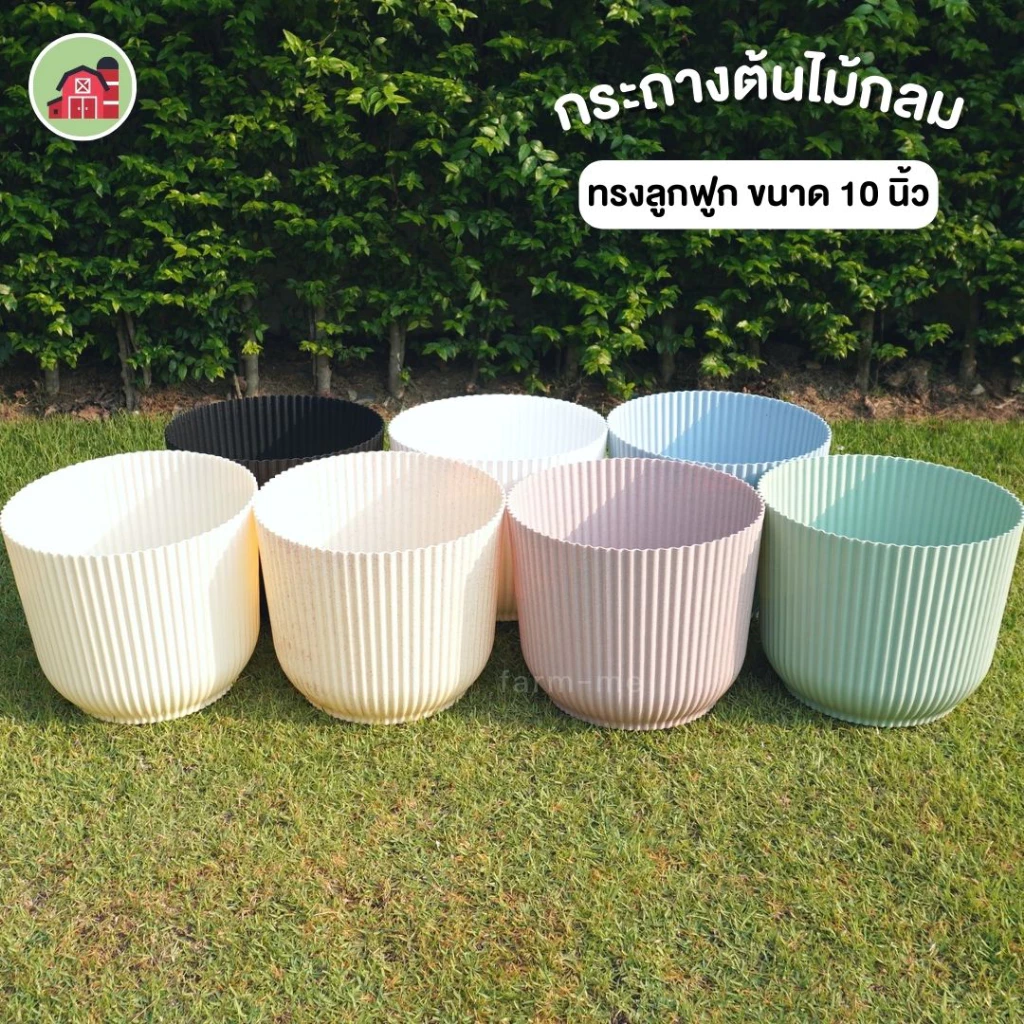 กระถางต้นไม้ ทรงลูกฟูก ขนาด 10 นิ้ว