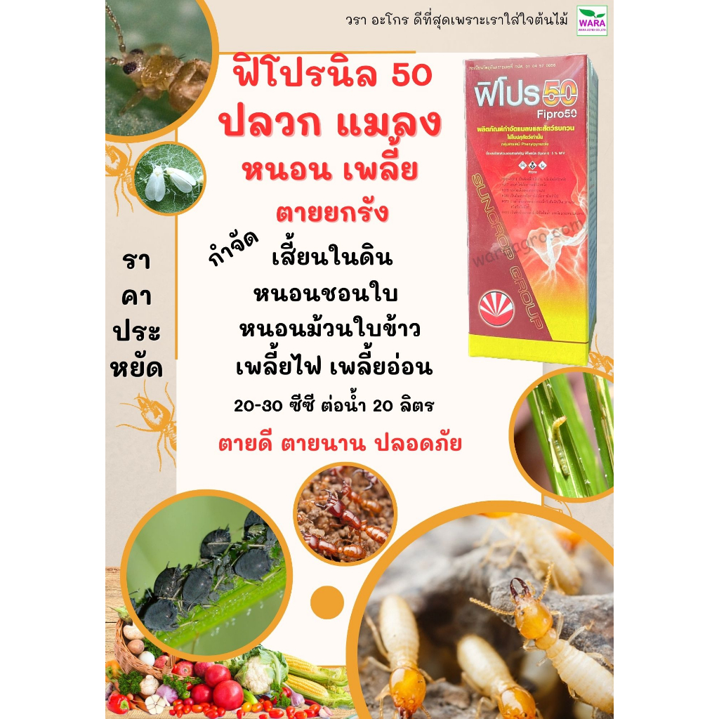 ปลวก แมลงกระชอน แมลงใต้ดิน หนอนใยผัก หนอนม้วนใบข้าว หนอนชอนใบ เพลี้ยไฟ เพลี้ยอ่อน แมลงหวี่ขาว เนื้อครีม ฟิโปรนิล50