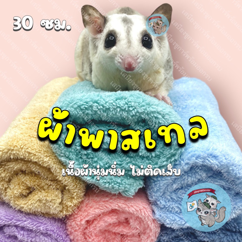 V ( ผ้าพาสเทล 30ซม. ) ผ้านุ่มสัตว์เล็ก ผ้าชูการ์