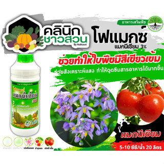 🥬 โฟแมกซ์ (แมกนีเซียม) บรรจุ 1ลิตร ช่วยให้ใบพืชเขียวเข้ม