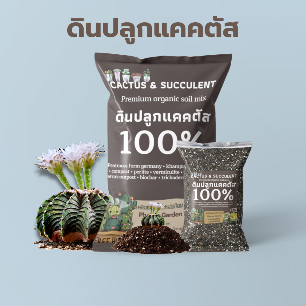 ดินปลูก แคคตัส ดินแคคตัส คุณภาพสูง 1kg กระบองเพชร ไลทอป กุหลาบหิน ไม้อวบน้ำ