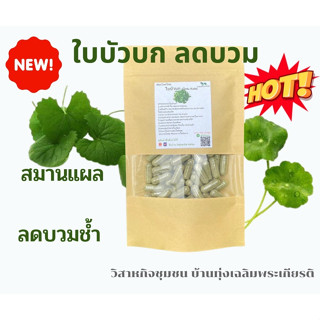 ใบบัวบก (Gotu Kola) ชนิดแคปซูล บรรจุ 50 / 100 แคปซูล พร้อมส่ง !! 500 มก.