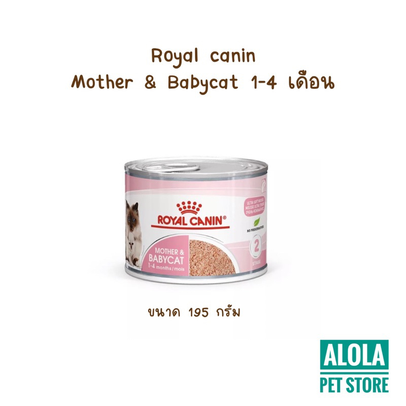 Royal Canin Mother and Baby Cat (ชมพู.ลูกแมว/แมวป่วย/แม่แมว) babycat 195g ต่อกระป๋อง รอยัลคานิน เบบี้แคต เนื่้อมูส