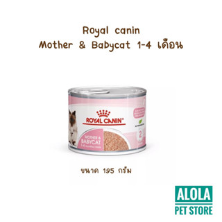 Royal Canin Mother and Baby Cat (ชมพู.ลูกแมว/แมวป่วย/แม่แมว) babycat 195g ต่อกระป๋อง รอยัลคานิน  เบบี้แคต  เนื่้อมูส