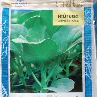 คะน้า คะน้ายอด 2,190 เมล็ด (10g) เมล็ดพันธุ์ ตราเจียไต๋ เมล็ดคะน้า พันธุ์คะน้า คะน้า เมล็ดผัก