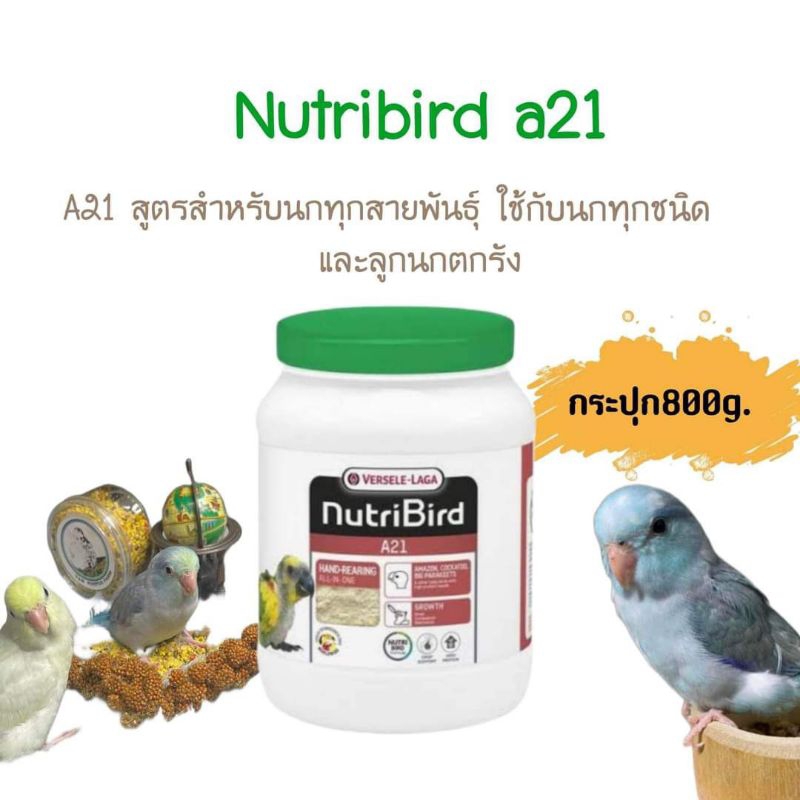อาหารลูกป้อนNutribirdขนาดกระปุก800g.A21()