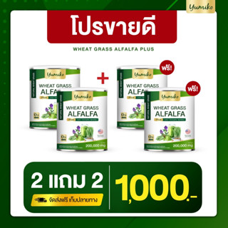 ✅แท้💯ส่งฟรี วีทกราส อัลฟาฟ่า ยูมิโกะ คลอโรฟิลล์ ไฟเบอร์ ล้างสารพิษ วีทกราสอัลฟาฟ่า Wheatgrass Alfalfa  ปริมาณ 200 กรัม