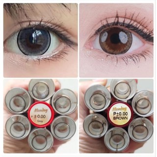 คอนแทคเลนส์ บิ๊กอาย เลนส์โต ตรงรุ่น Monday ฝาแดง Pitchy lens สีเทา/ตาล Gray/Brown มีค่าสายตา (0.00)-(-10.00)