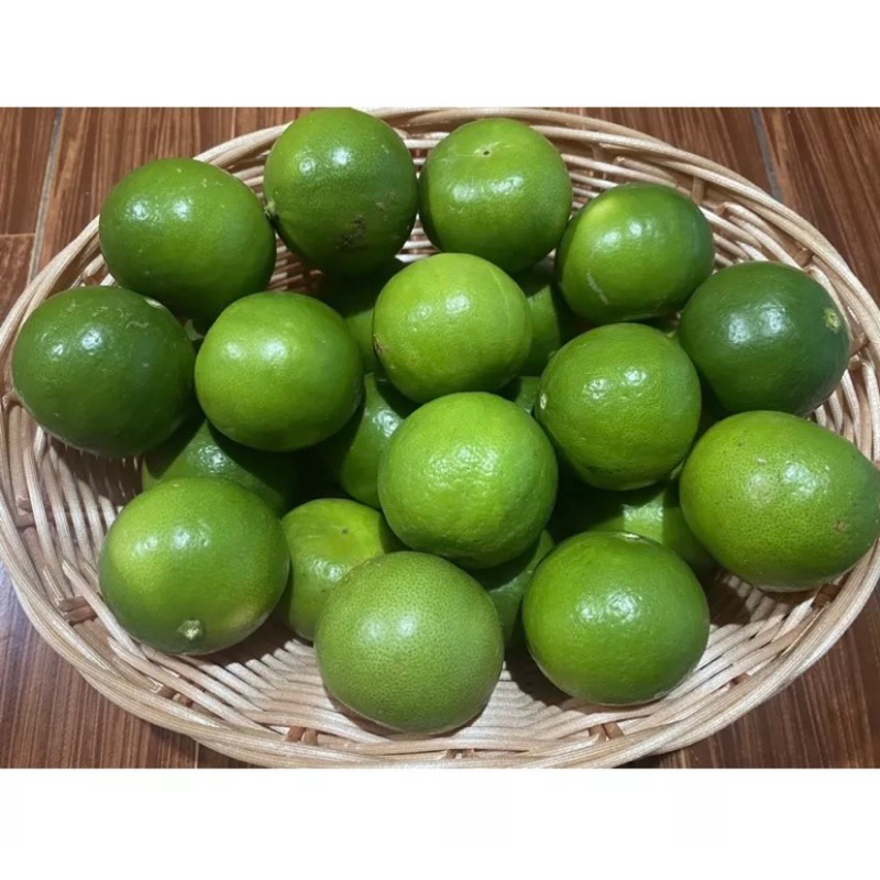 มะนาวแป้นพิจิตร 1 🔥กิ่งทาบเสียบยอดขนาด50-70cmต้นแข็งแรงมีรากแก้วชำเรียบร้อยพร้อมปลูก บางก็เริ่มออกดอกออกลูกแล้ว - รูปที่ 7