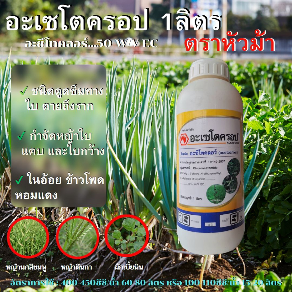 อะเซโตครอป อะซีโทคลอร์ ขนาด 4ลิตร ตราหัวม้า ใช้ก่อนวัชพืชงอก เพื่อกำจัดวัชพืชใบกว้าง-ใบแคบ ในไร่อ้อยข้าวโพด ฯลฯ
