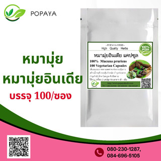 (P79) สมุนไพร Carpogon -capitatus- Roxb (Ma Mui India) 100 Cap.