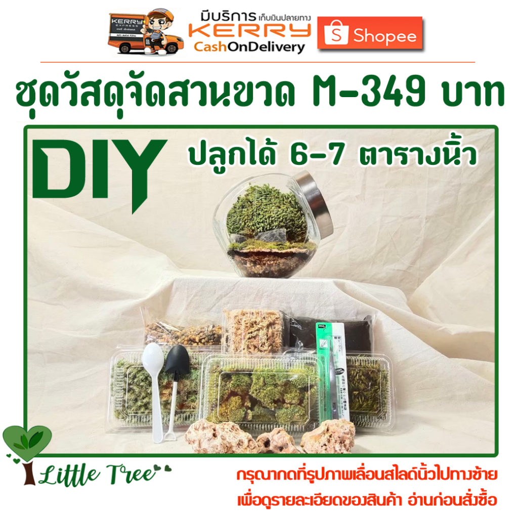 ชุดวัสดุจัดสวนขวด Terrarium ขนาดกลาง-ใหญ่ ไซต์ M-349 บาท จัดได้ 7 ตารางนิ้ว - รูปที่ 2