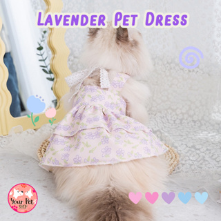 Lavender Pet Dress เดรสหมา เดรสแมว เสื้อผ้าสัตว์เลี้ยง ชุดกระโปรงแมว เสื้อหมา