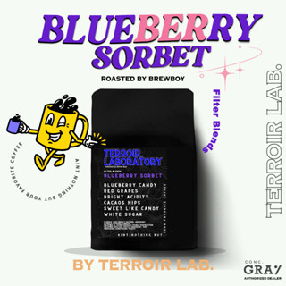 เมล็ดกาแฟคั่ว "Blueberry Sorbet" by Terroir Lab - For Filter Roast คั่วอ่อน - 100g /250g