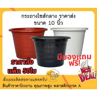 (แพ็ค50ใบ) กระถางต้นไม้พลาสติก 10 นิ้ว (ราคาส่ง) กระถางแคคตัส กระถางพลาสติก กระถางดอกไม้ กระถางปลูกผัก กระถางต้นไม้