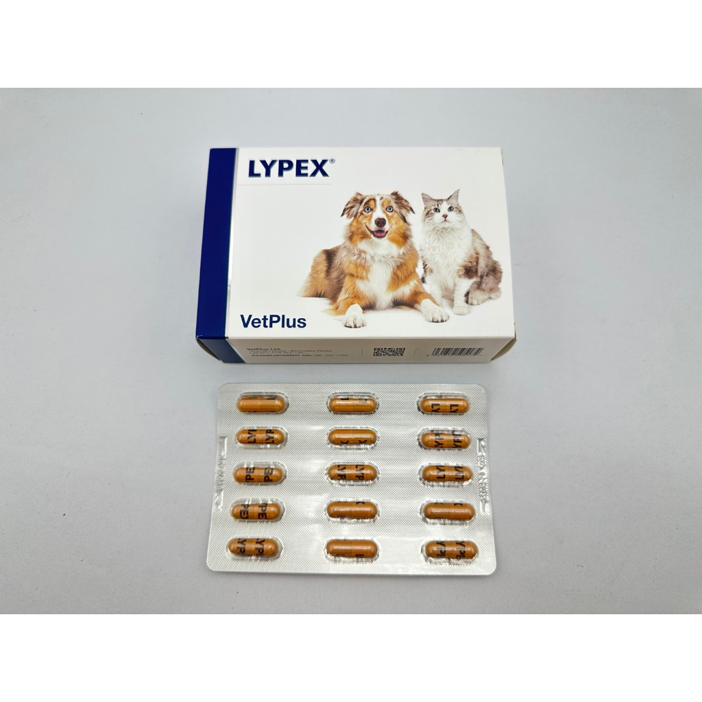 LYPEX อาหารเสริมบำรุงตับอ่อนสำหรับสุนัขและแมว