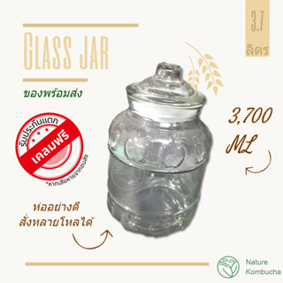 โหลแก้วลายผลไม้ รุ่นหนา 3.7 สำหรับหมัก คอมบูชา คอมบูฉะ  | Nature Kombucha Scoby