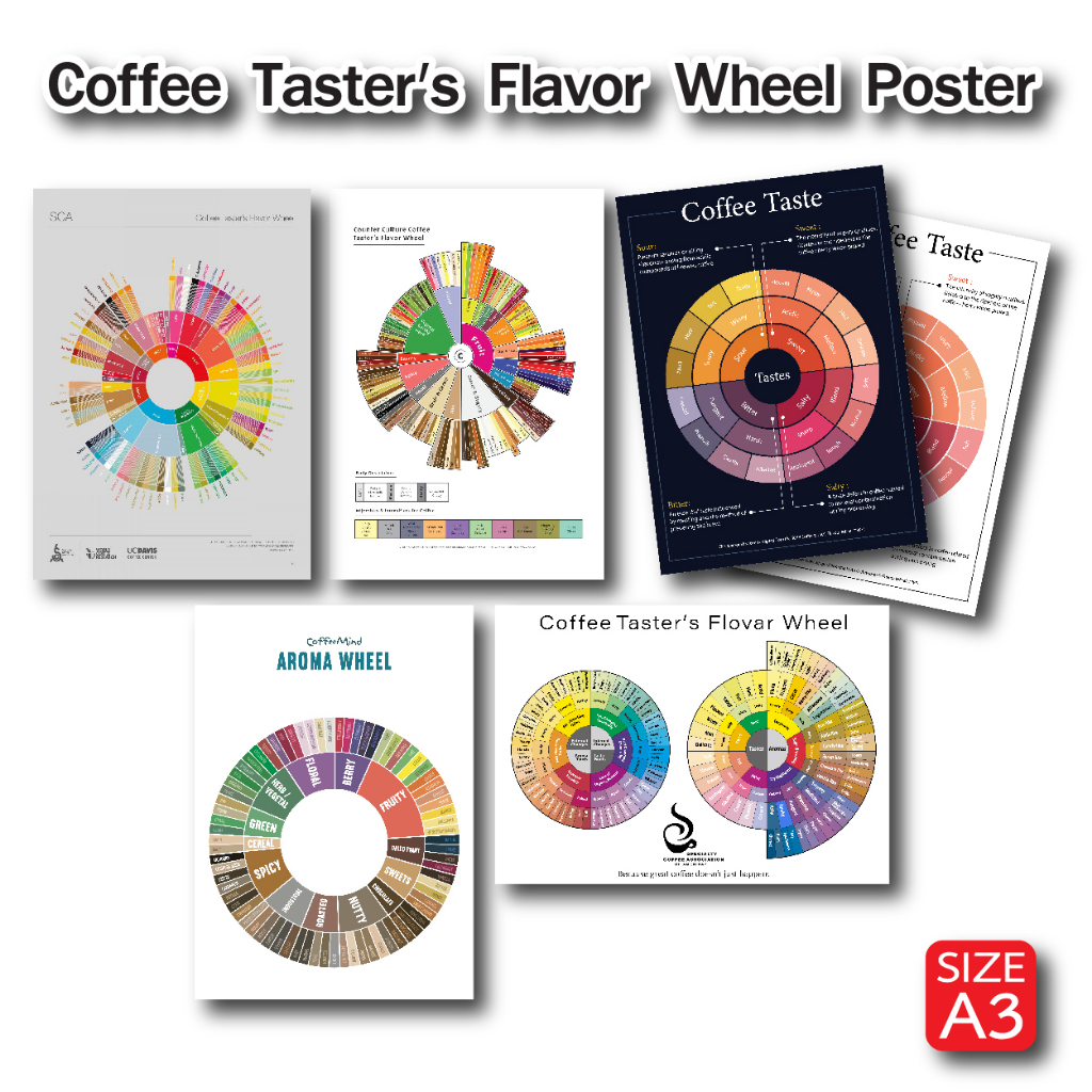 โปสเตอร์ กาแฟ Coffee Taster's Wheel หลากหลายแบบ สำหรับตกแต่งร้านกาแฟ ภาพคมชัด ส่งไว ขนาด A3