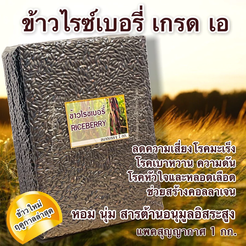 ข้าวไรซ์เบอรี่ นาปี เกรด เอ แพ็คสุญญากาศ 1 กก. | หอม นุ่ม น้ำตาลต่ำ