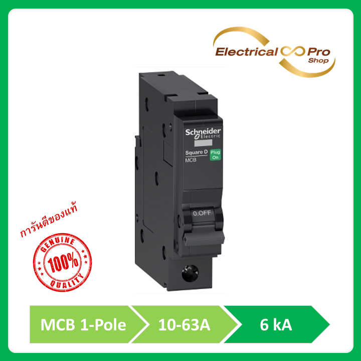 Schneider (ชไนเดอร์) ลูกย่อยเซอร์กิตเบรกเกอร์ Square D 6KA 1 Pole - 10A-63A