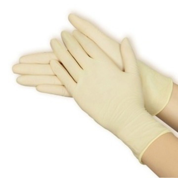 Latex gloves : ถุงมือยาง พารา สีเหลือง ไม่มีแป้ง แพ็คถุง 100 ชิ้น ไม่มีกล่อง