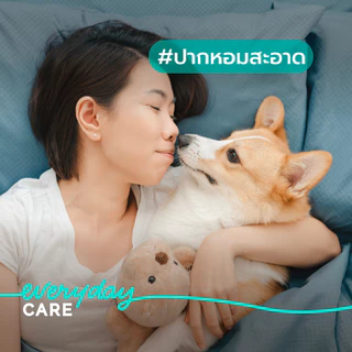 Virbac ยาสีฟัน ซีอีที รสวานิลลา-มินต์ [C.E.T.® Enzymatic Toothpaste - Vanilla Mint - 70 g] สำหรับสุนัขและแมว