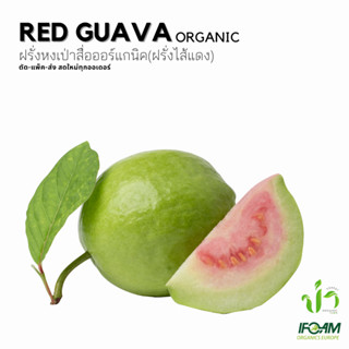 ฝรั่งหงเป่าสื่อ(ฝรั่งไส้แดง)อินทรีย์ Organic Red Guava