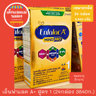 เอนฟาแลค สูตร1 160 กรัม/กล่อง เหมายกลัง 24กล่อง  Enfalac A+1 MINDPRO สูตร1 ถูกสุดใน shopee