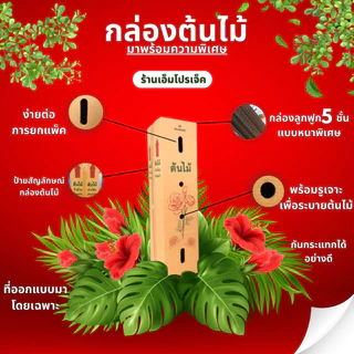 กล่องต้นไม้5ชั้นลายใหม่ ขนาด 30*150*30 (1 ชิ้น = 10 ใบ) และ ขนาดพิเศษ 20*150*20 ( แพ็ค 10 ใบ )