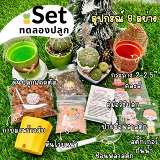 Set ทดลองปลูกแคคตัส 1 ชุด อุปกรณ์ 8 อย่าง