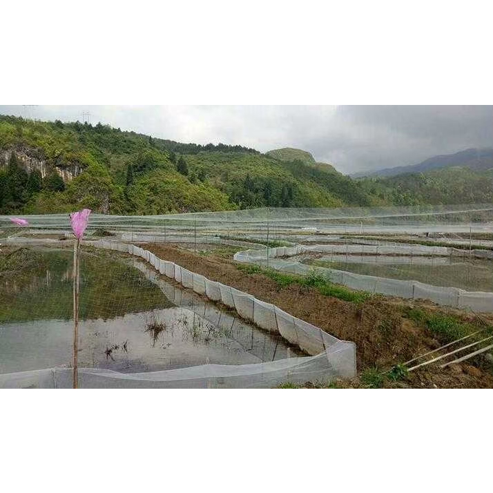 ตาข่ายกันนก ตาข่ายสีใส มีให้เลือก3ขนาด 1เมตร2เมตร3เมตร ความยาว1เมตร เอ็นใส ติดตั้งง่าย ผิวตาข่ายนิ่ม ไม่แข็งกระด้าง - รูปที่ 2