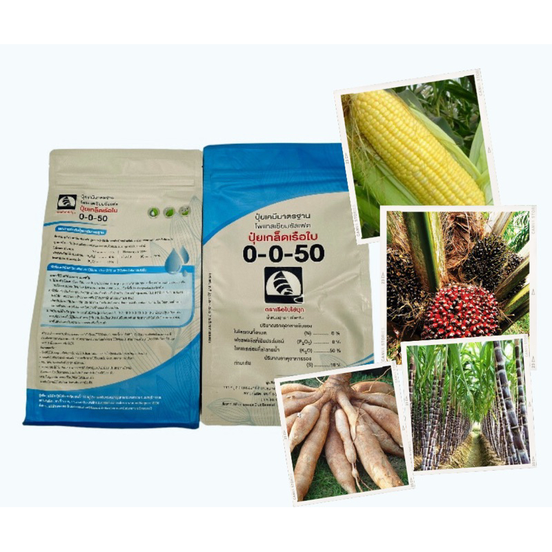 ปุ๋ยเกร็ด0-0-50 เรือใบไข่มุก ปุ๋ยหวาน เร่งแป้งเพิ่มน้ำหนักเพิ่ม เพิ่มความหวาน