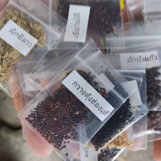 เมล็ดแตงกวา แตงกวา เมล็ดพันธุ์ผัก เมล็ดผัก เมล็ดผักสวนครัว 10แถม1 คละได้