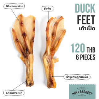 Duck feet เท้าเป็ด 6 ชิ้น Hoya Barkery