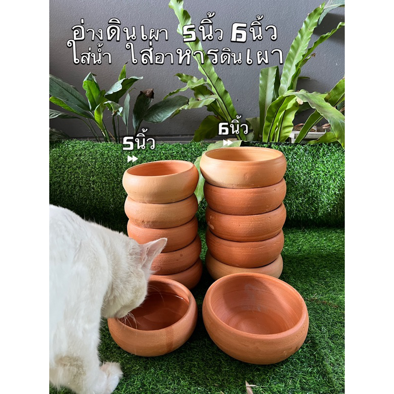 อ่างดินเผา ใส่น้ำ ใส่อาหารสัตว์เลี้ยง ขนาด 5นิ้ว และ6นิ้วโปร1ใบ4ใบ 📌เปิดพรีออเดอร์ไว้แต่จัดส่งปกติทุกวันคะ📌
