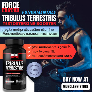 💊Force Factor Tribulus Terrestris, Testosterone Booster, 500 mg(60 Capsules) ไทรบูลัส เพิ่มฮอร์โมน เพิ่มความแข็งแรง