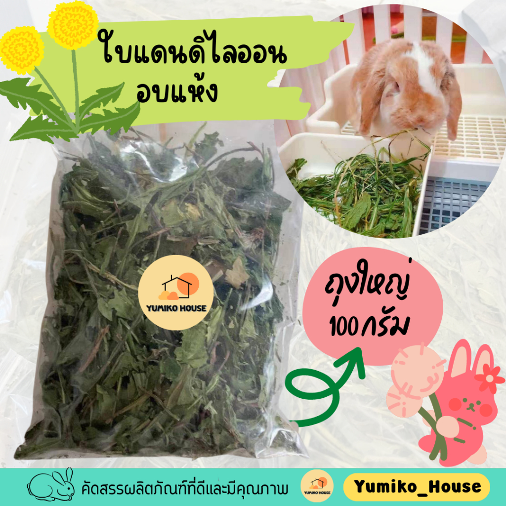 ใบแดนดิไลออน อบแห้ง Dandelion 100กรัม/50กรัม สำหรับกระต่ายและสัตว์เลี้ยงฟันแทะ