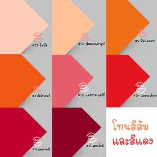 กระดาษโปสเตอร์สี 2 หน้า กระดาษศิลปะA1 โทนสีพาสเทลและสีสดใส 50สี(สั่งขั้นต่ำ 8 แผ่น)