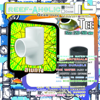 Reef-aholic TY สามทาง U-PVC Tee 20 - 50 mm. ราคาถูกใจ หยิบใช้ได้ตลอด จะขาว จะเทา หรือจะเอาไปทั้งสอง