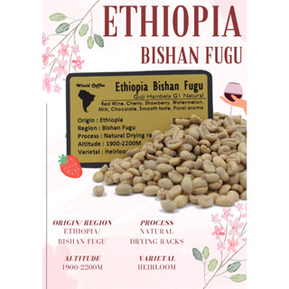 🚚พร้อมส่ง💯 เมล็ดกาแฟดิบ Ethiopia Bishan Fugu Natural Drying racks process/ เมล็ดกาแฟนอก/เมล็ดกาแฟสาร เอธิโอเปีย