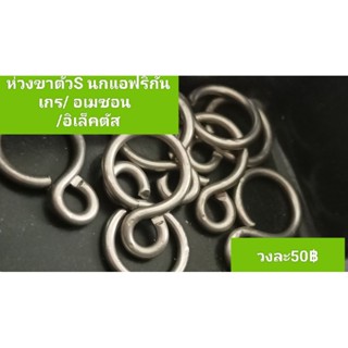 50฿ห่วงขาตัว S นกแก้ว แอฟริกันเกย์ amazon electrus