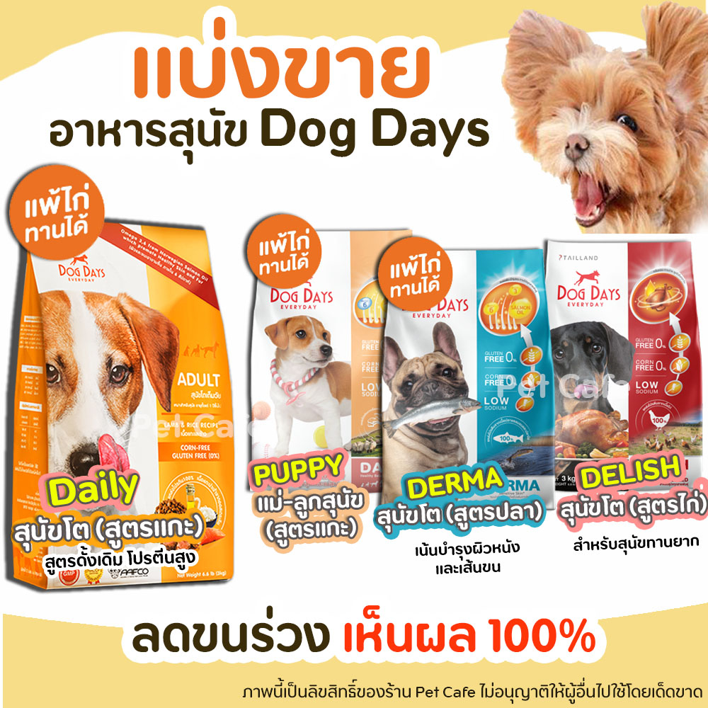 ❗แบ่งขาย❗Dog Days อาหารสุนัข ครบทุกสูตร ลดขนร่วง โซเดียมต่ำ ไม่มีกลูเตน เหมาะสำหรับสุนัขทานยาก