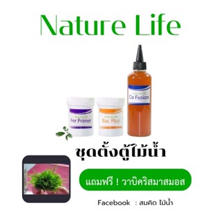 Nature Life ชุดตั้งตู้ไม้น้ำ