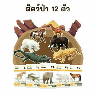 ชุดโมเดลสัตว์ป่า 12 ตัว + การ์ดกิจกรรม 16 ใบ สัตว์ป่า Wild Animals 2WINBOOKTOYS