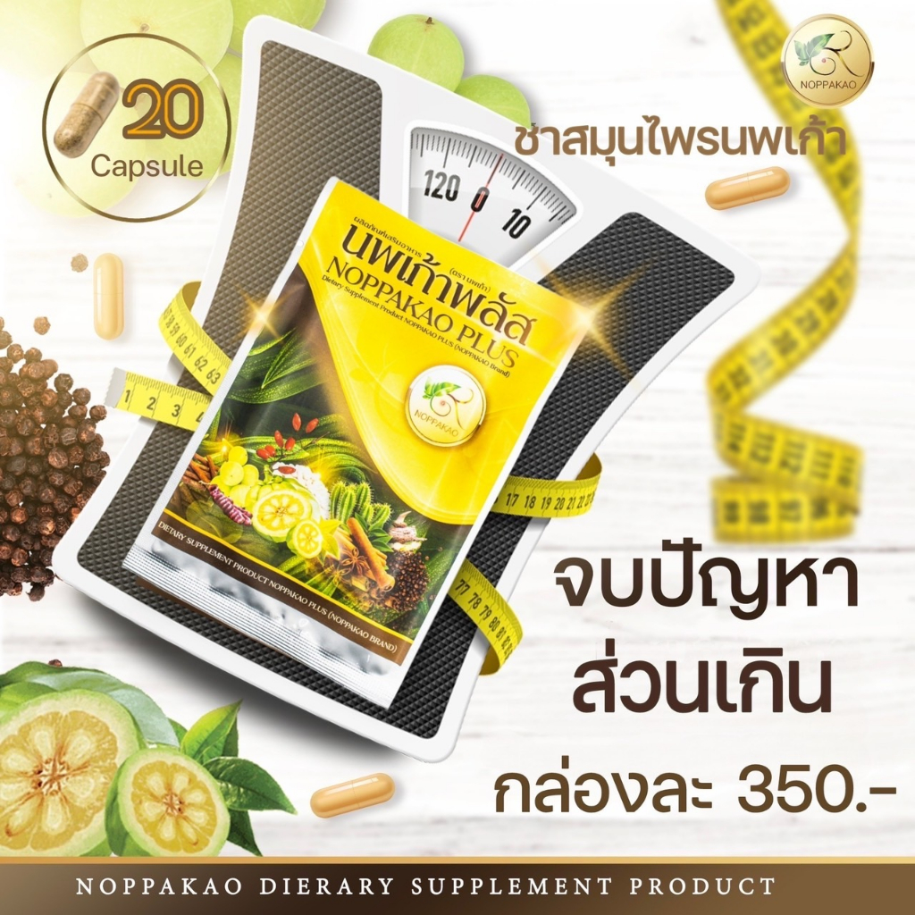 [ลด30% กรอกโค้ด WELINC99]ชาแคปซูลนพเก้าพลัส ชาสมุนไพรนพเกล้า จบปัญหาส่วนเกิน คุมหิว ของแท้100%จากบริษัท พร้อมส่ง